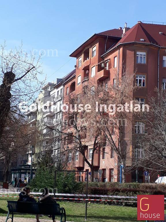 Kép 9