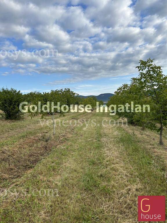 Ingatlan