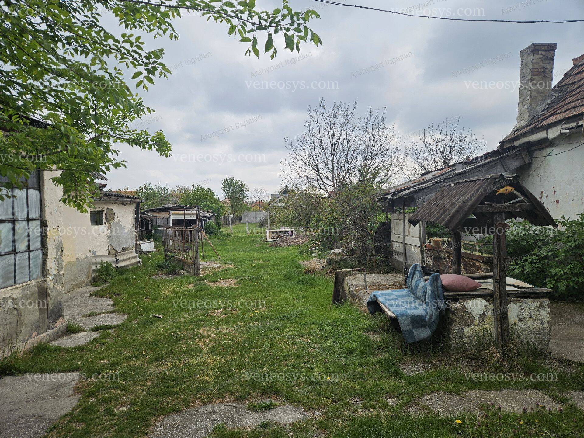 Kép 2
