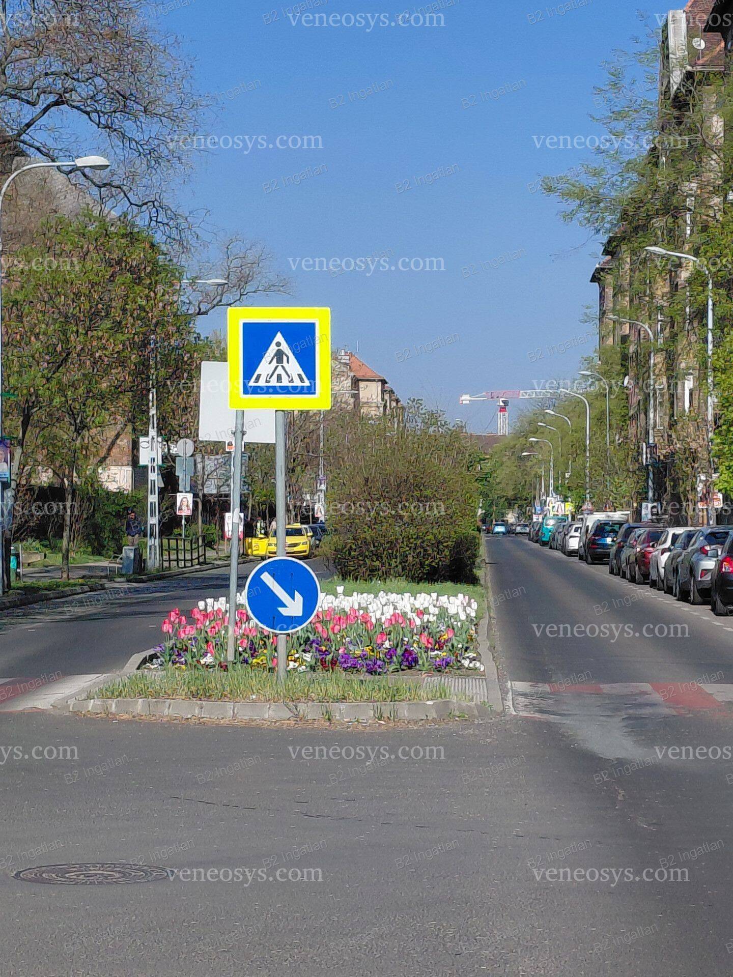 Kép 5