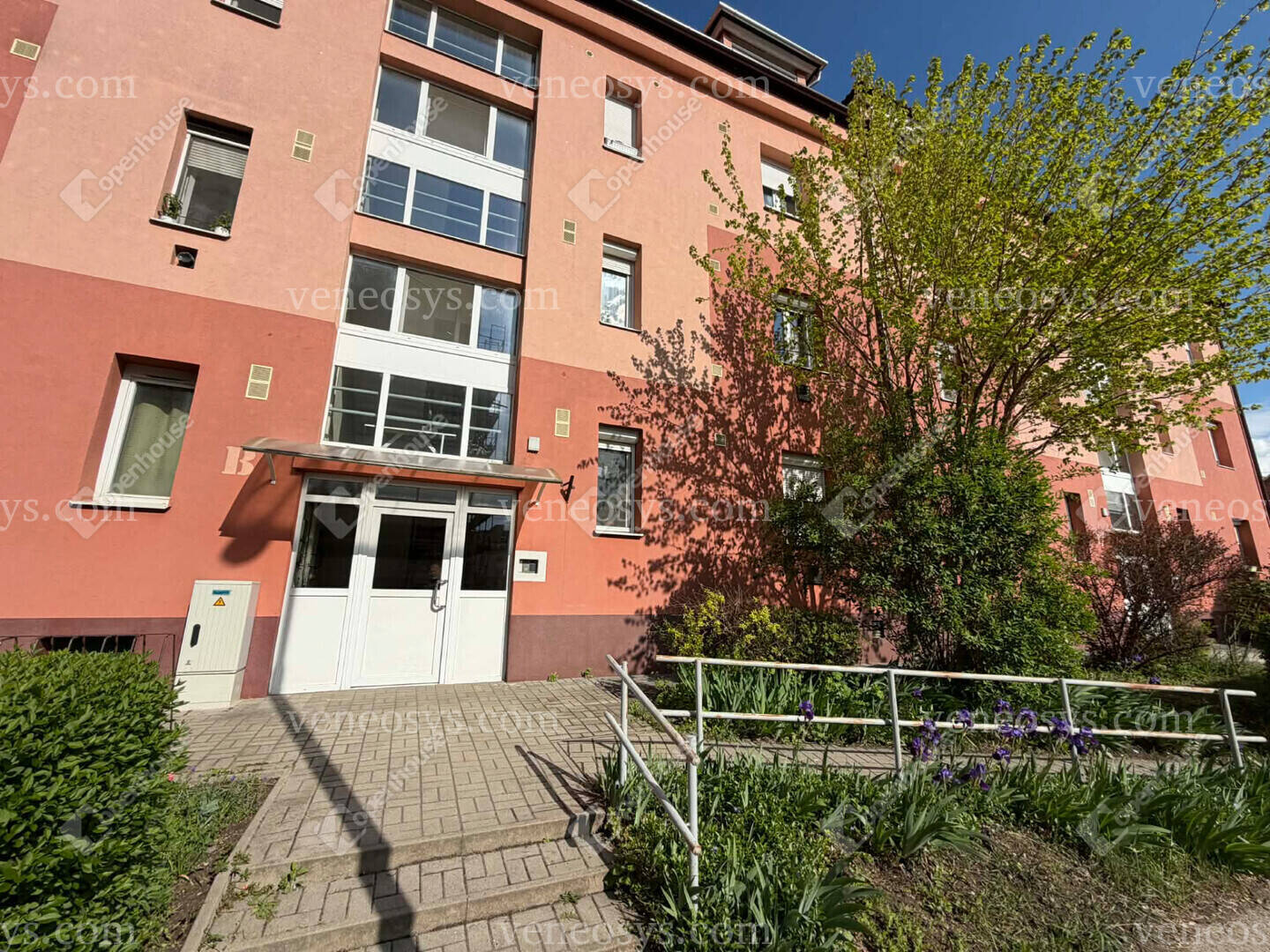 Kép 13