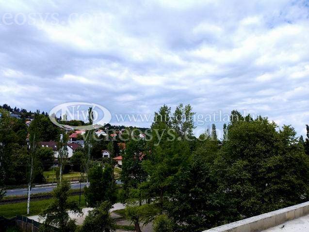 Kép 6