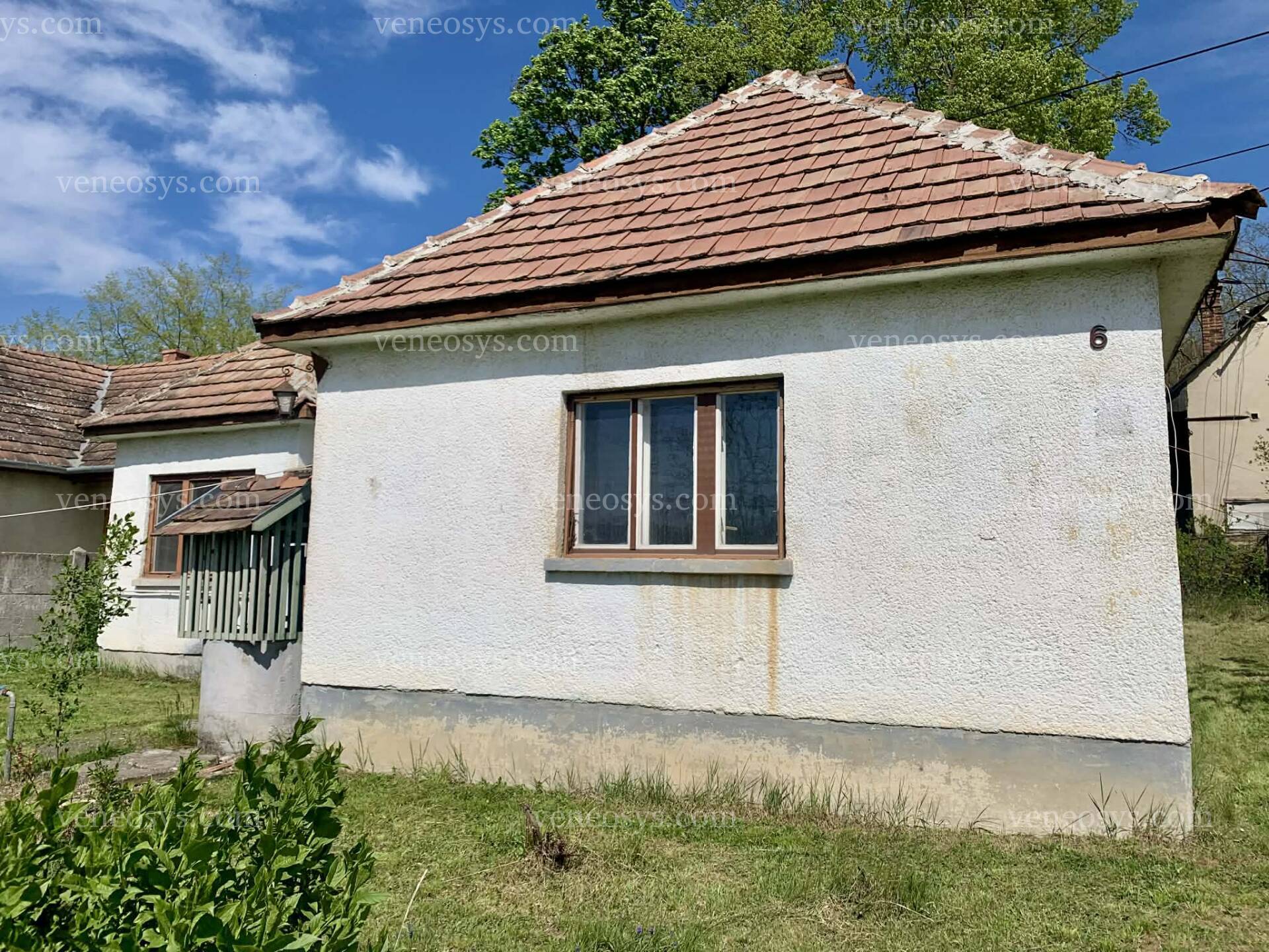 Kép 6