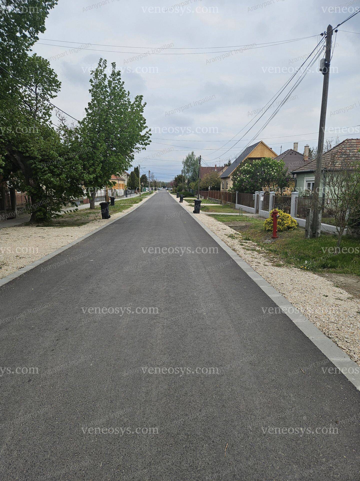 Kép 6