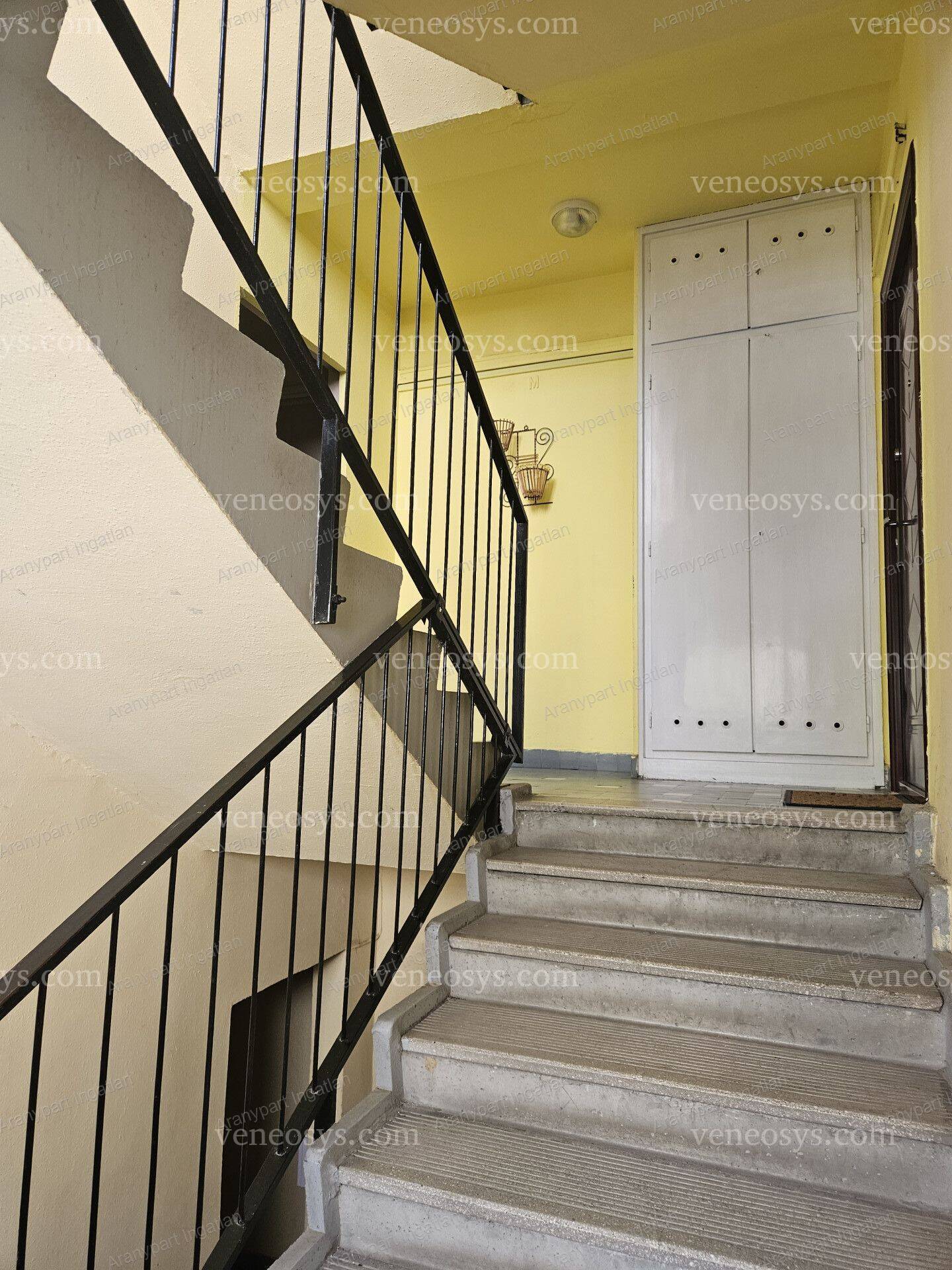Kép 14