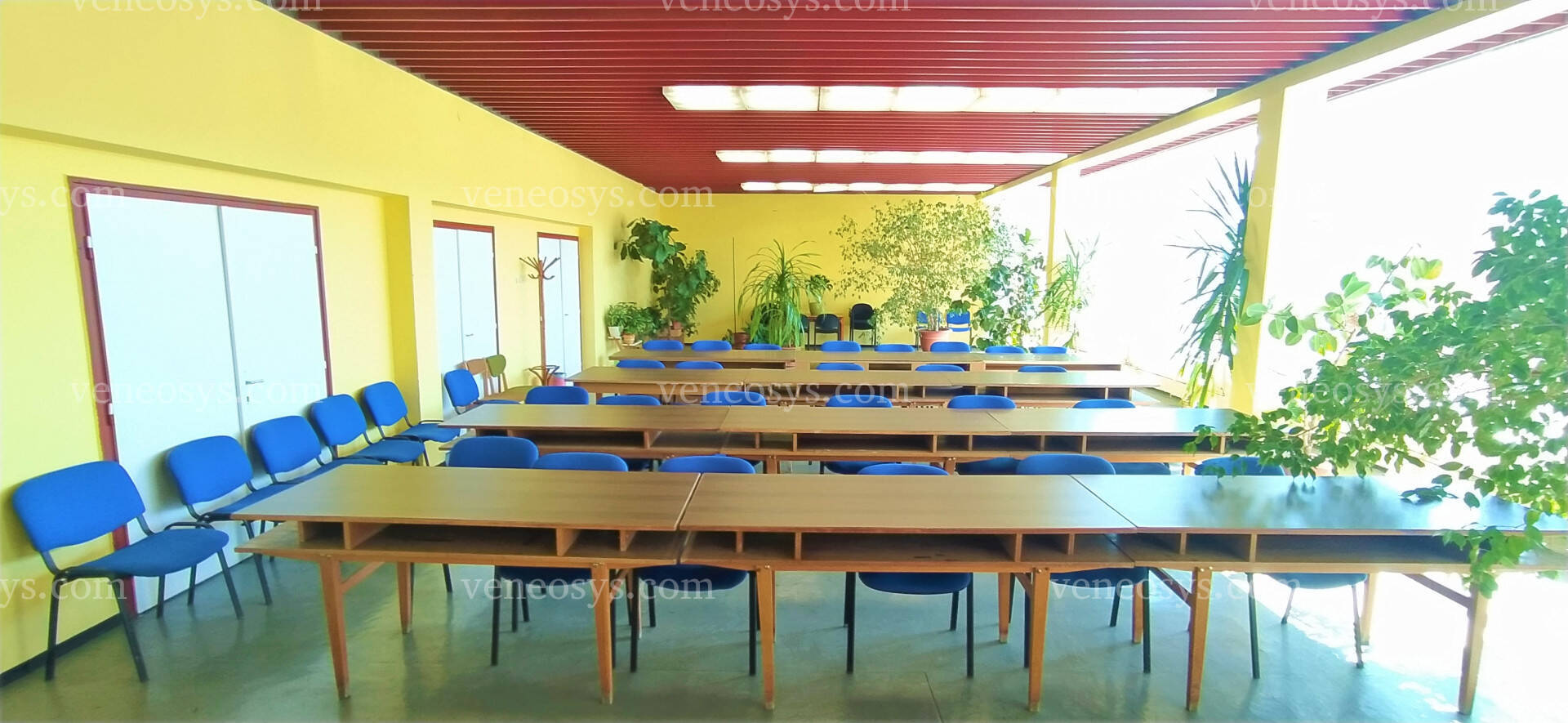Kép 6