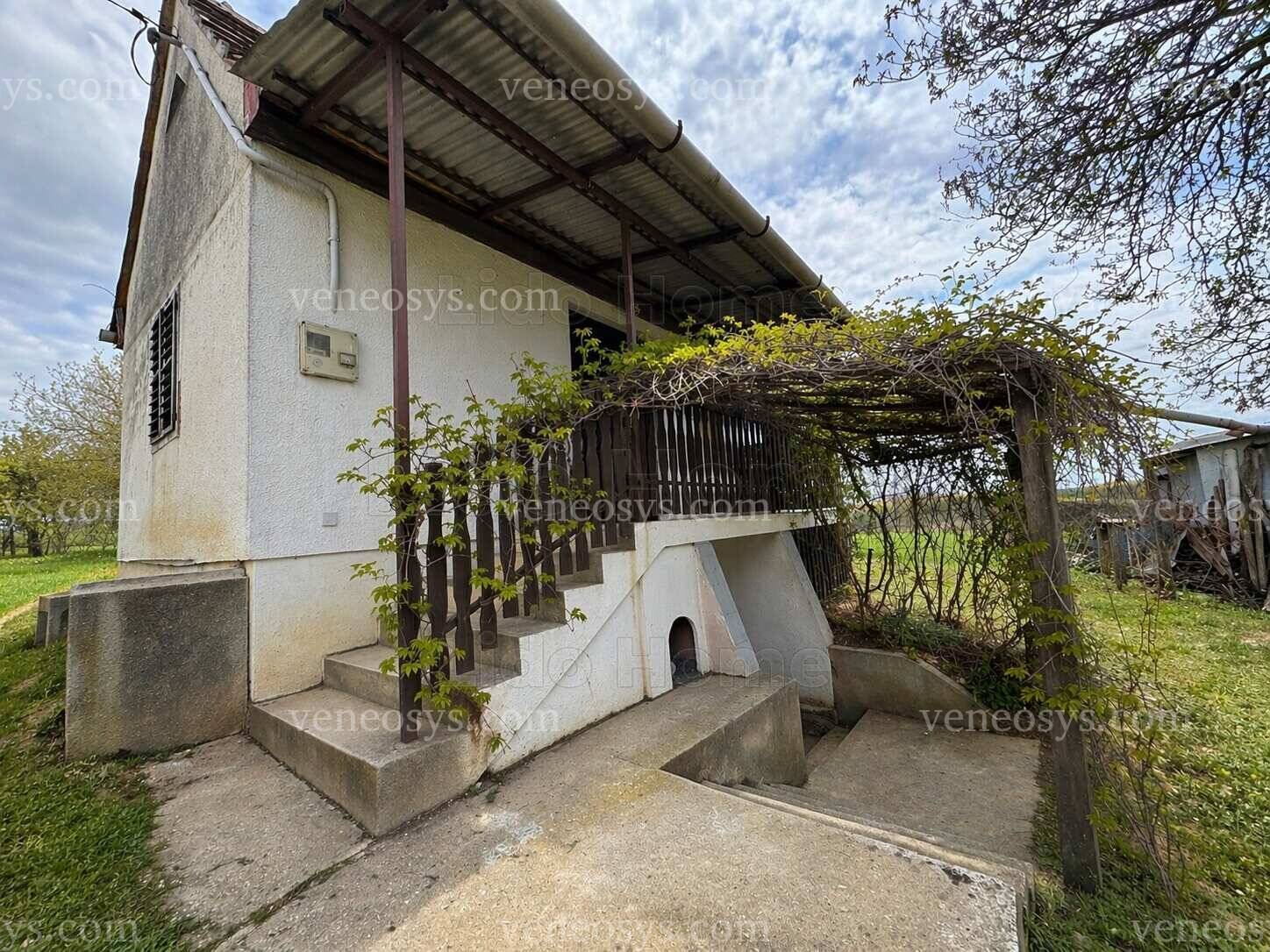 Kép 2