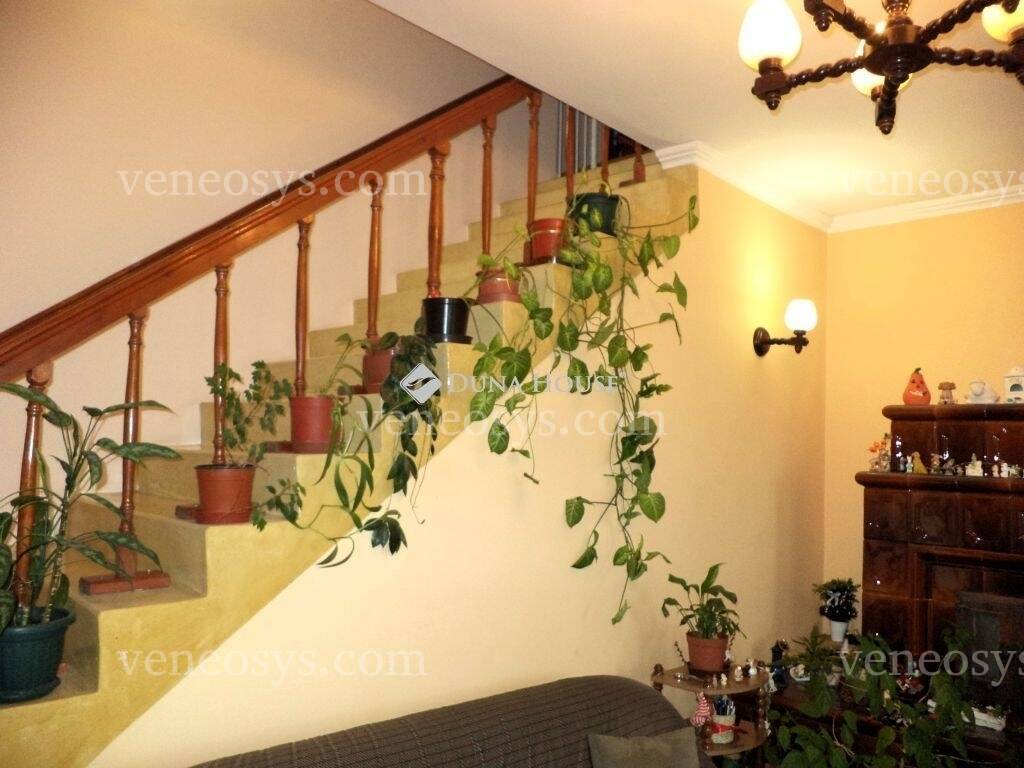 Kép 10