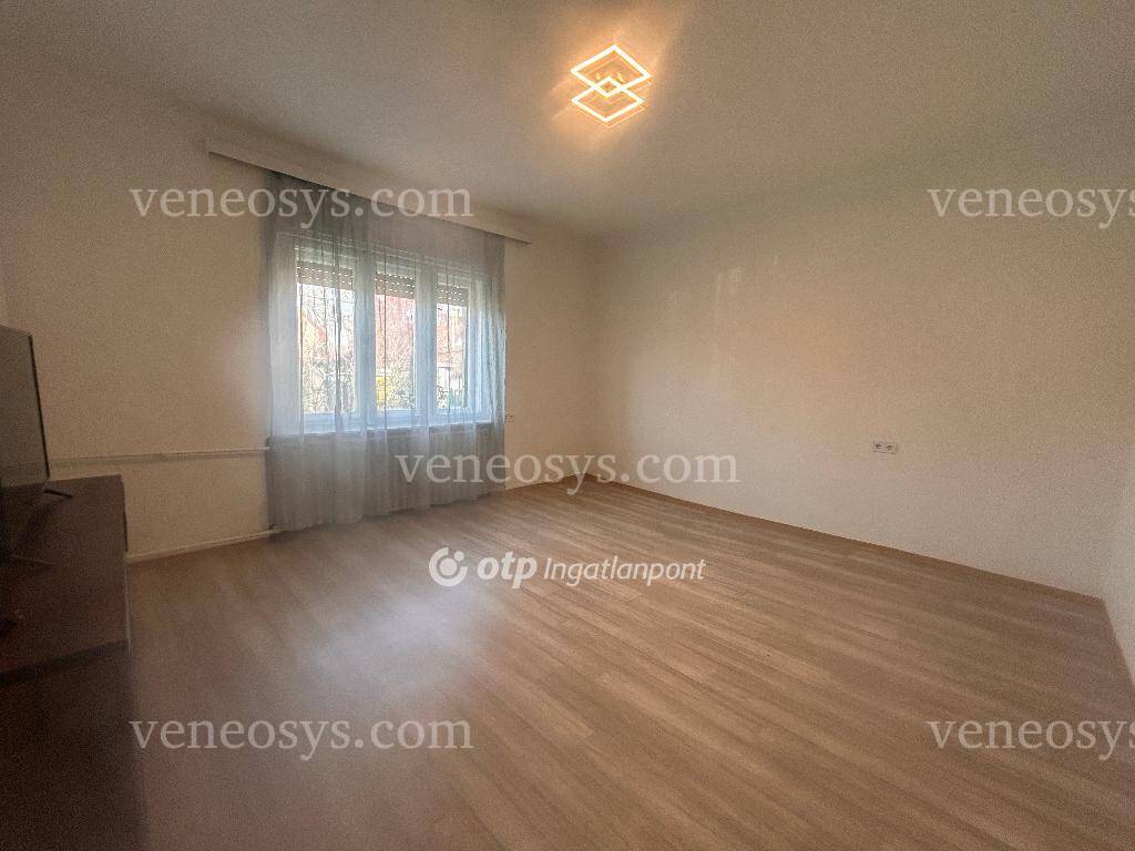Kép 7