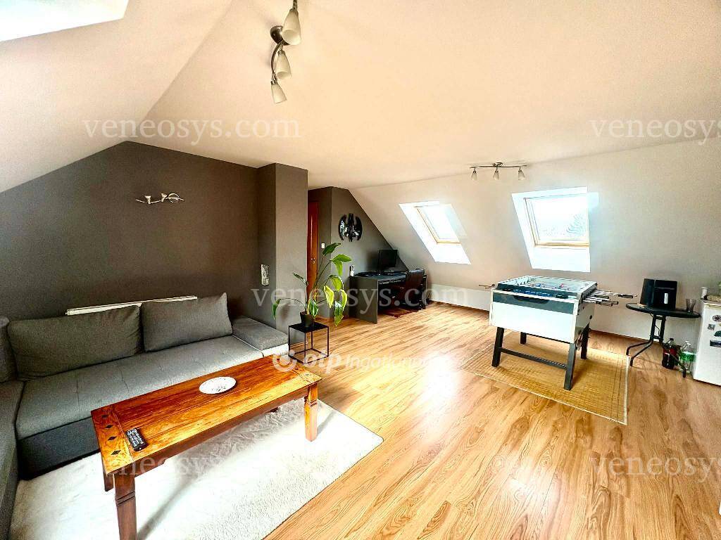 Kép 6
