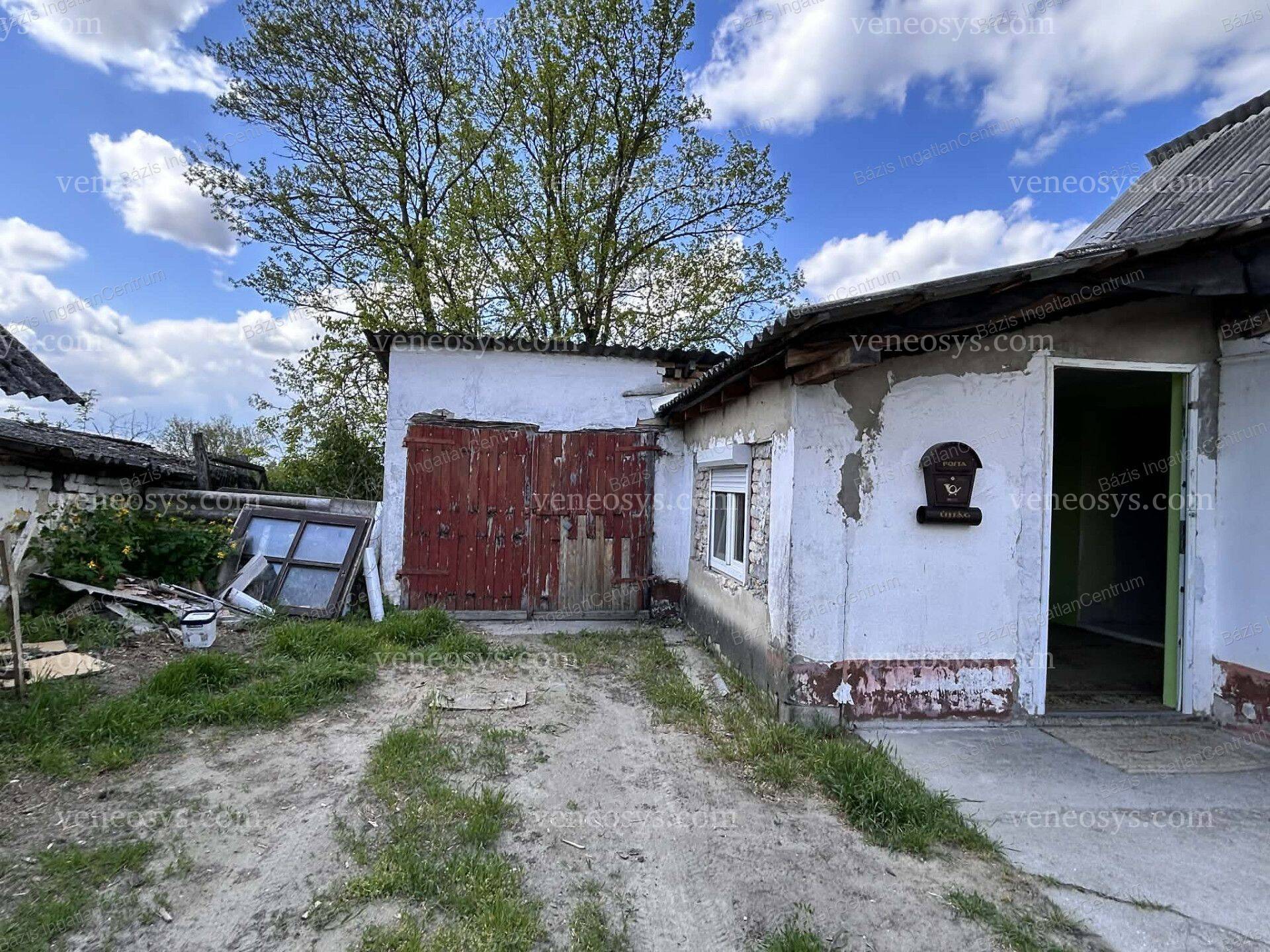 Kép 19