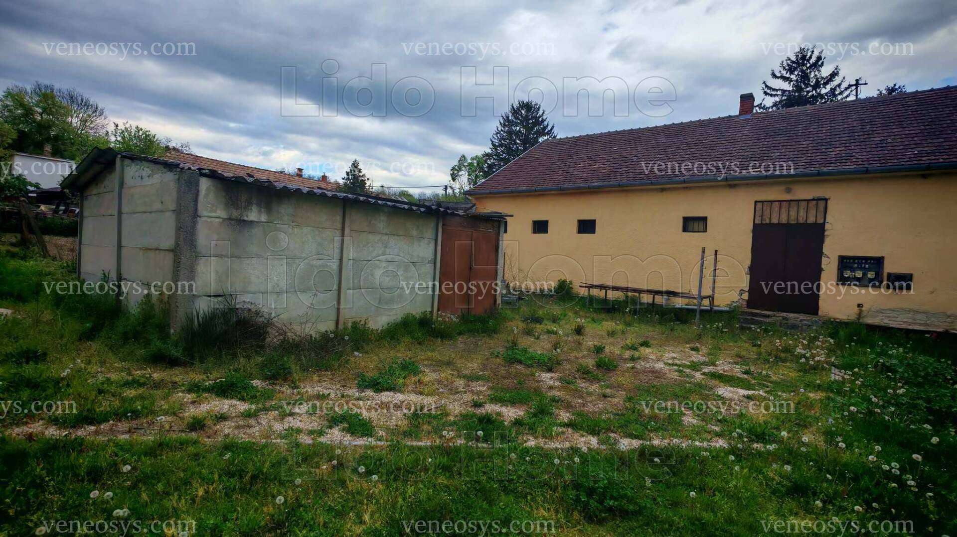 Kép 4