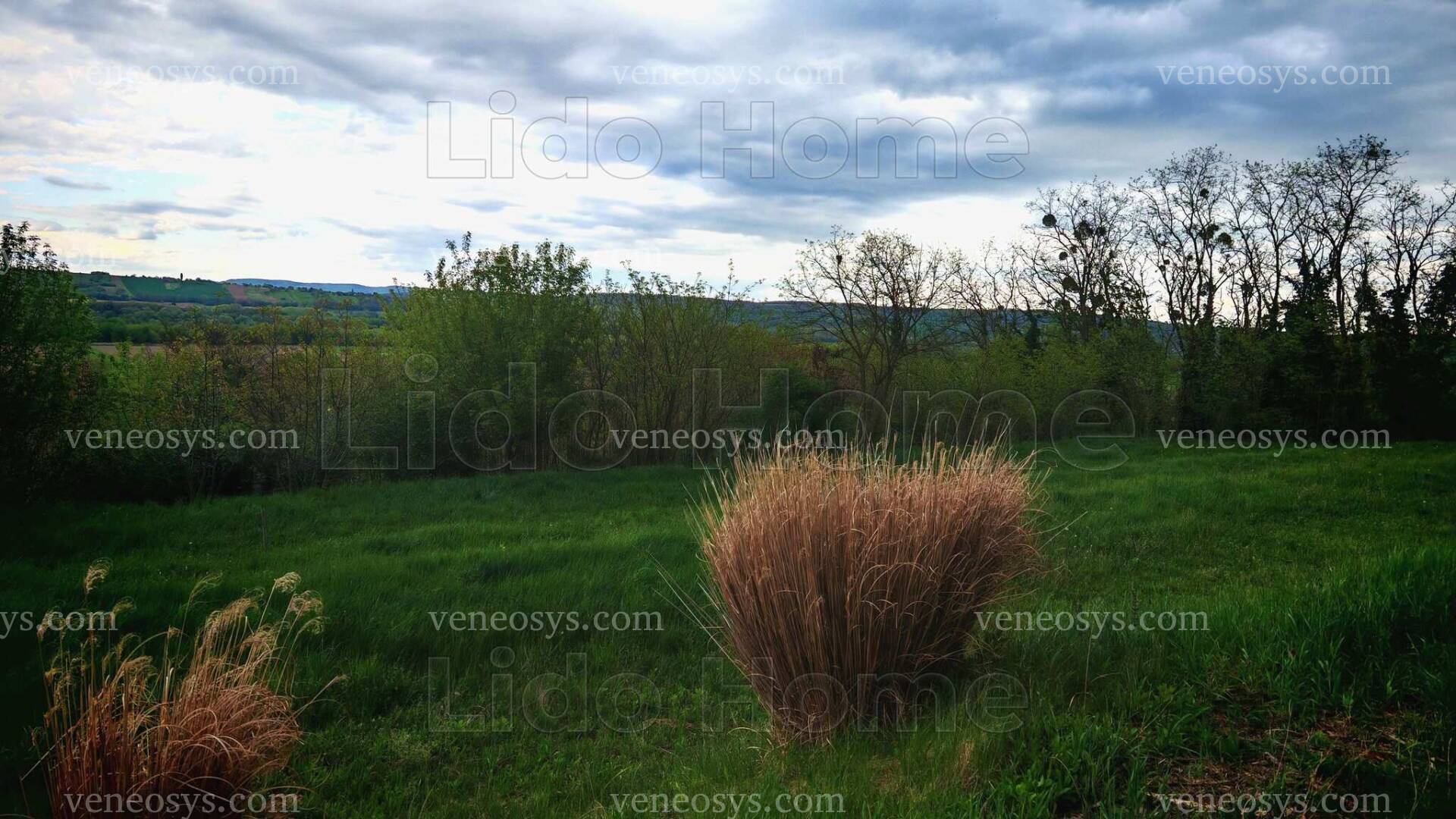 Kép 3