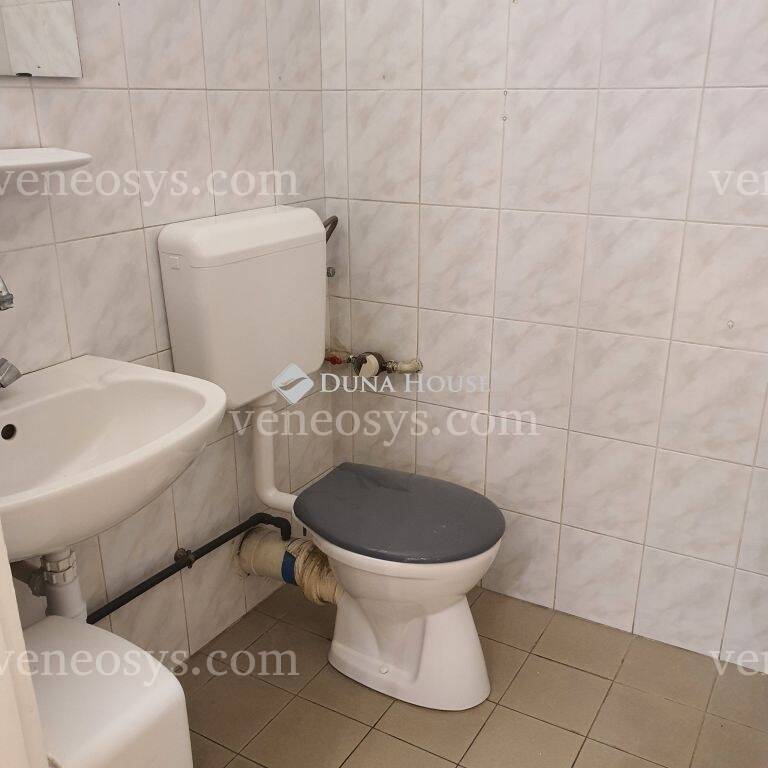 Kép 5