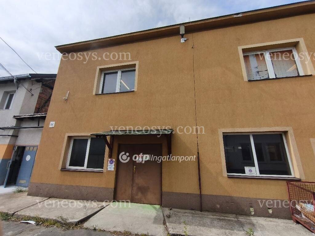 Kép 5
