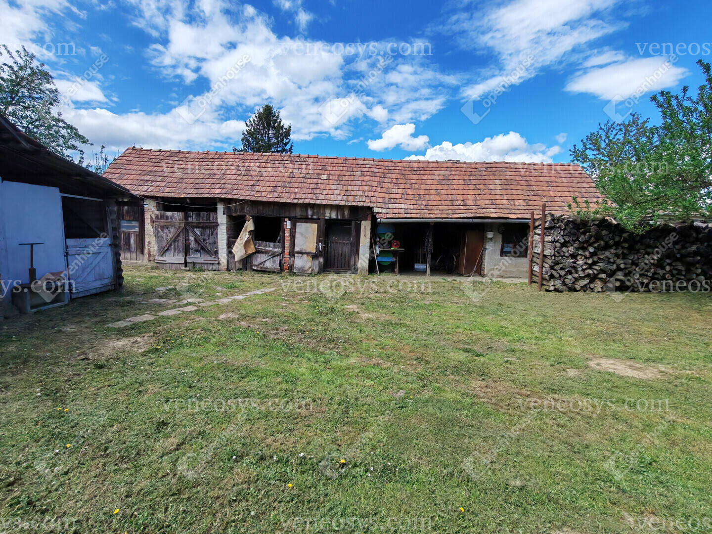 Kép 7