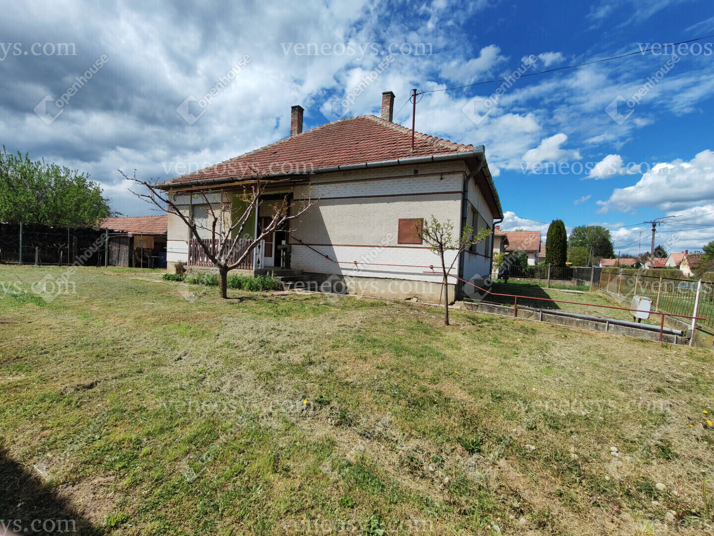 Kép 4