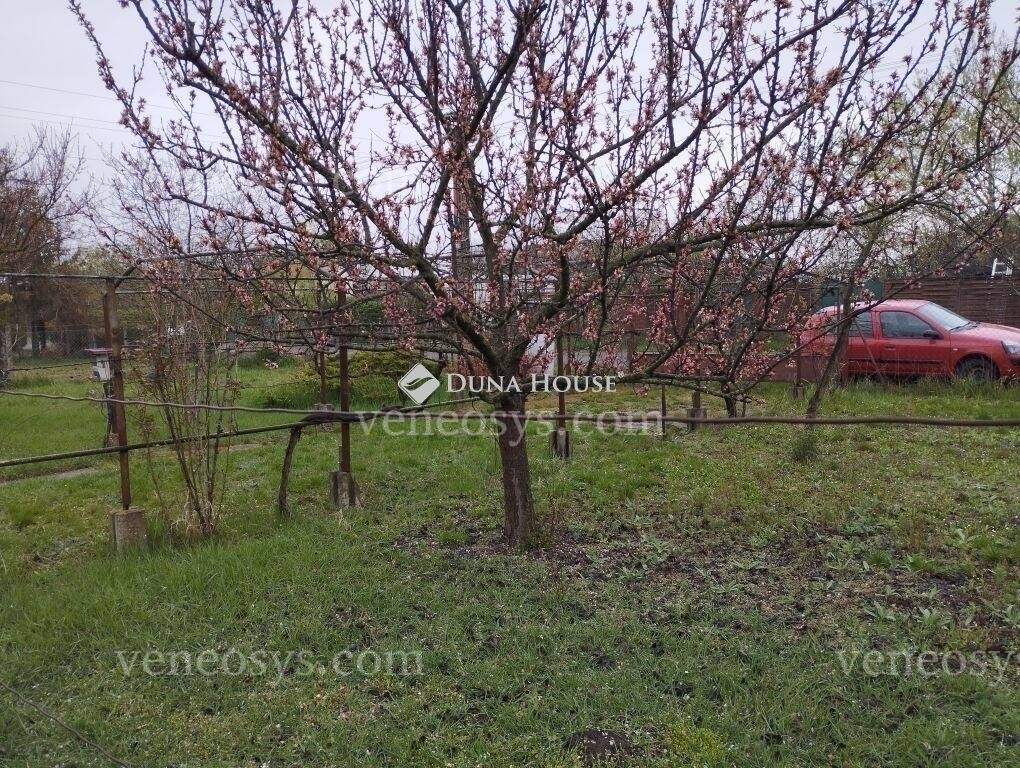 Kép 15