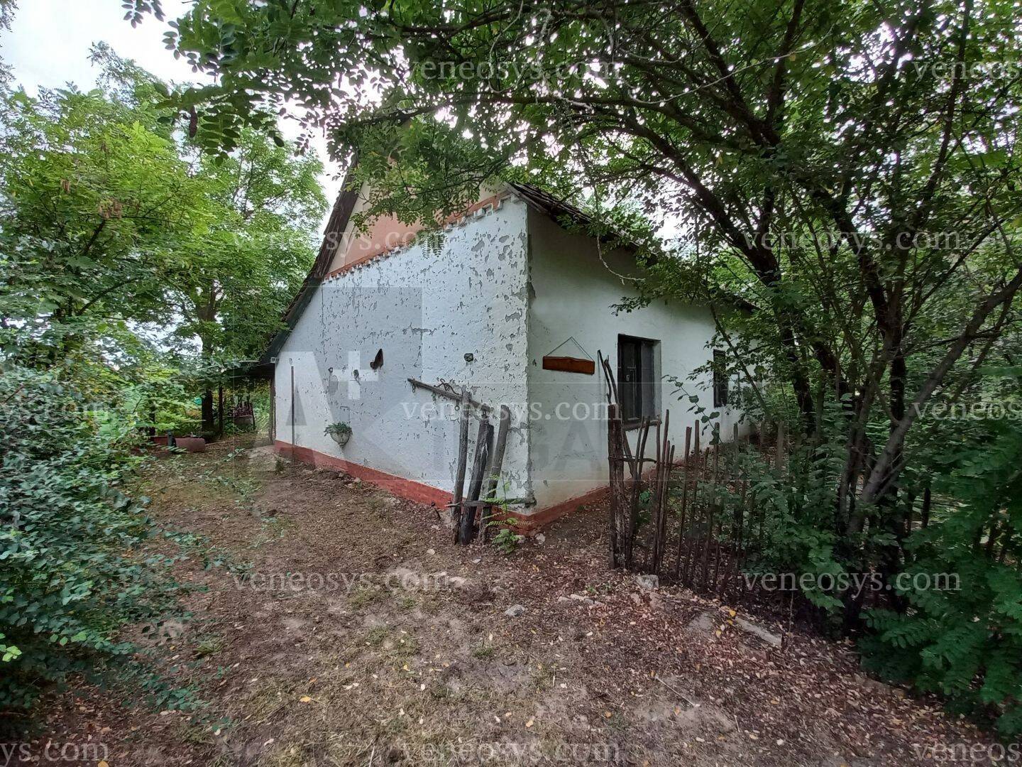 Kép 18