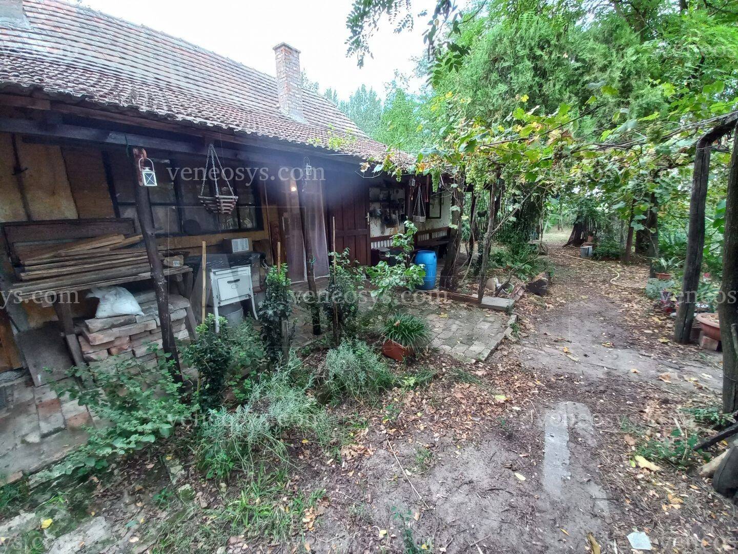 Kép 16