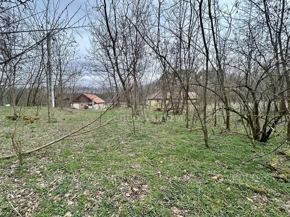 Kép 18
