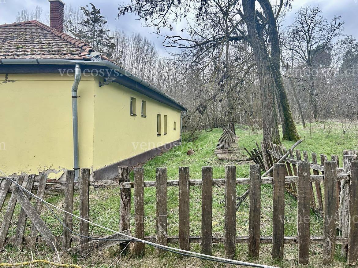 Kép 14