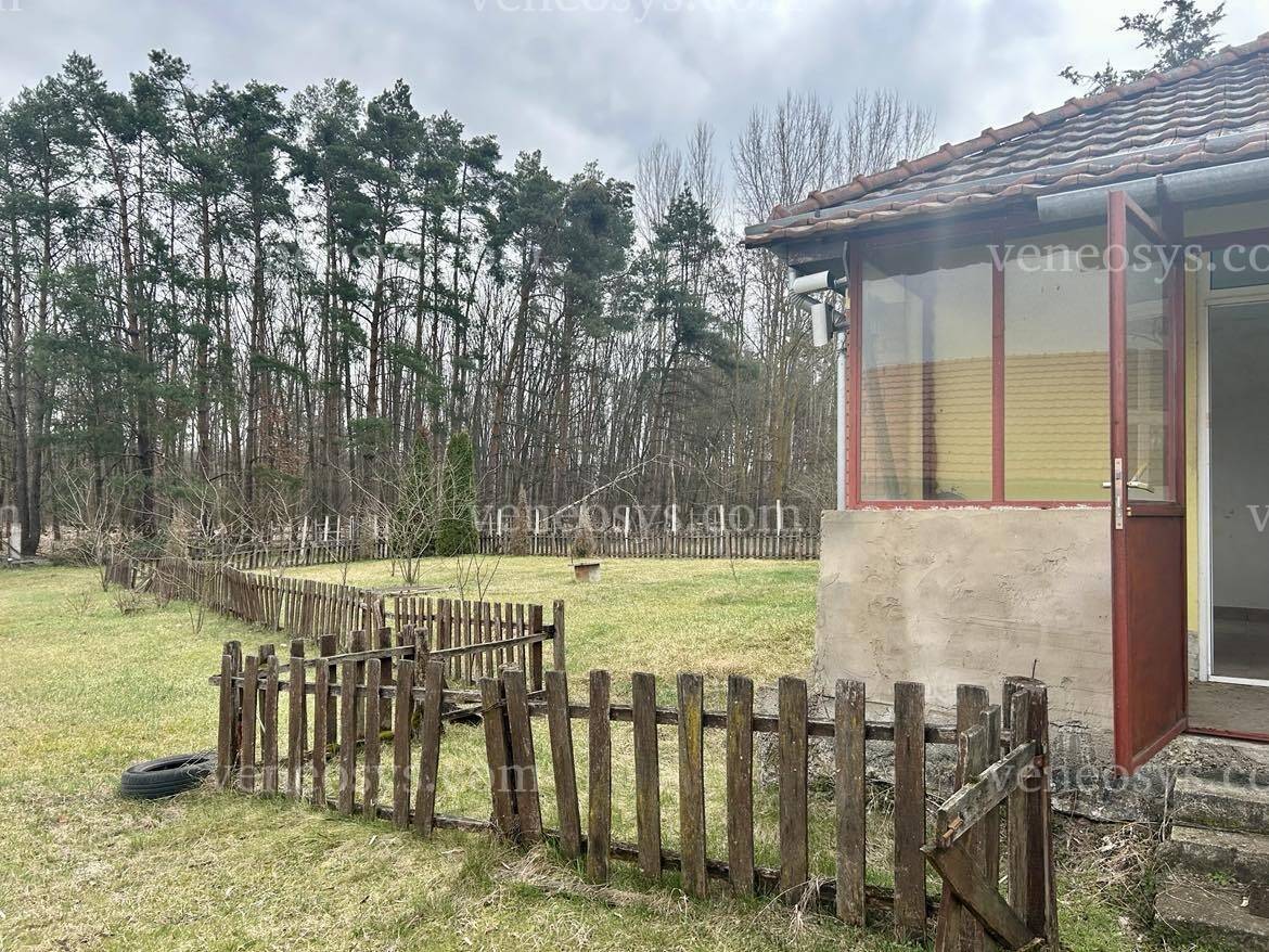 Kép 15