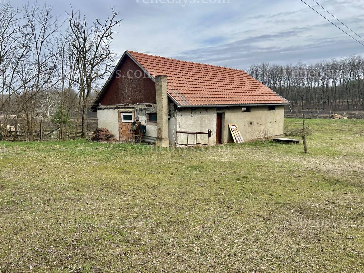 Kép 20