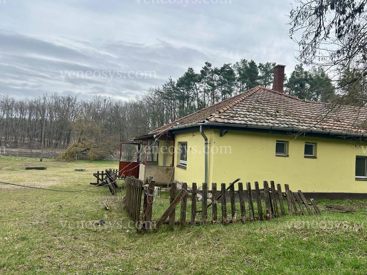 Kép 12