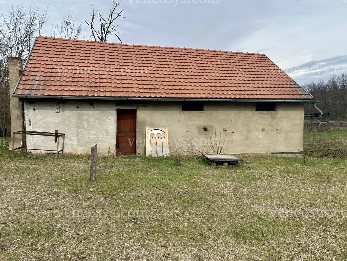 Kép 19