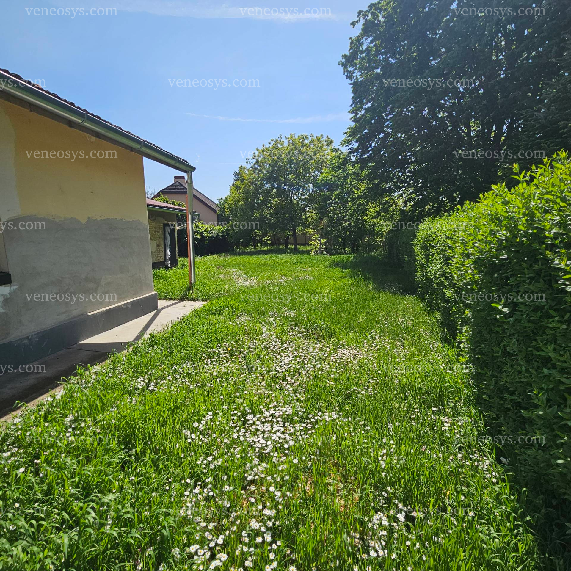 Kép 15
