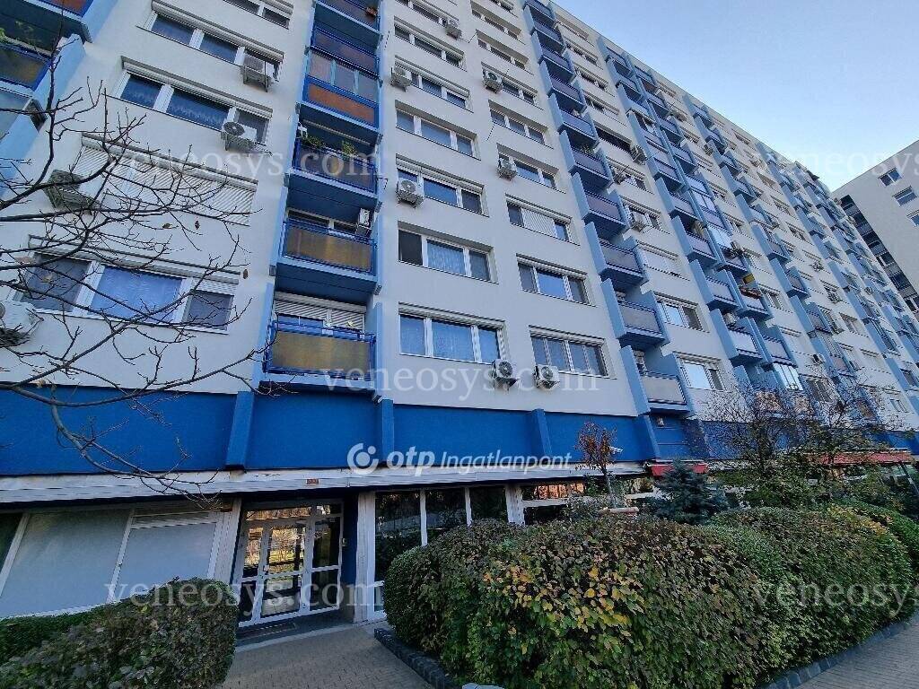 Kép 11