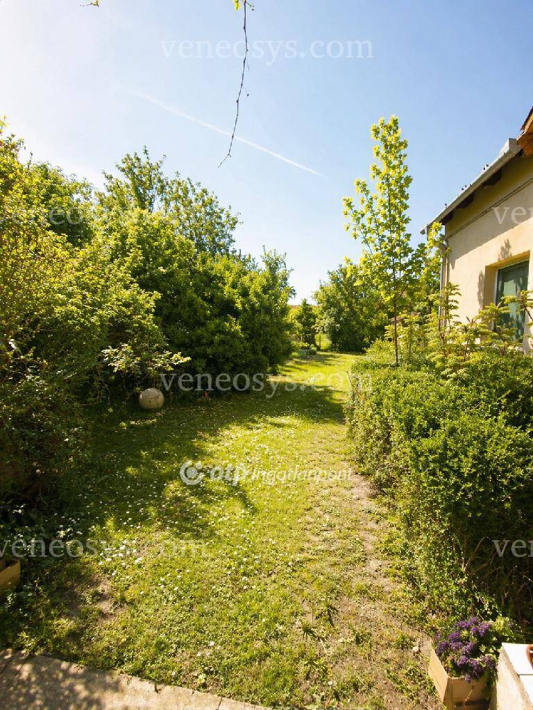 Kép 4