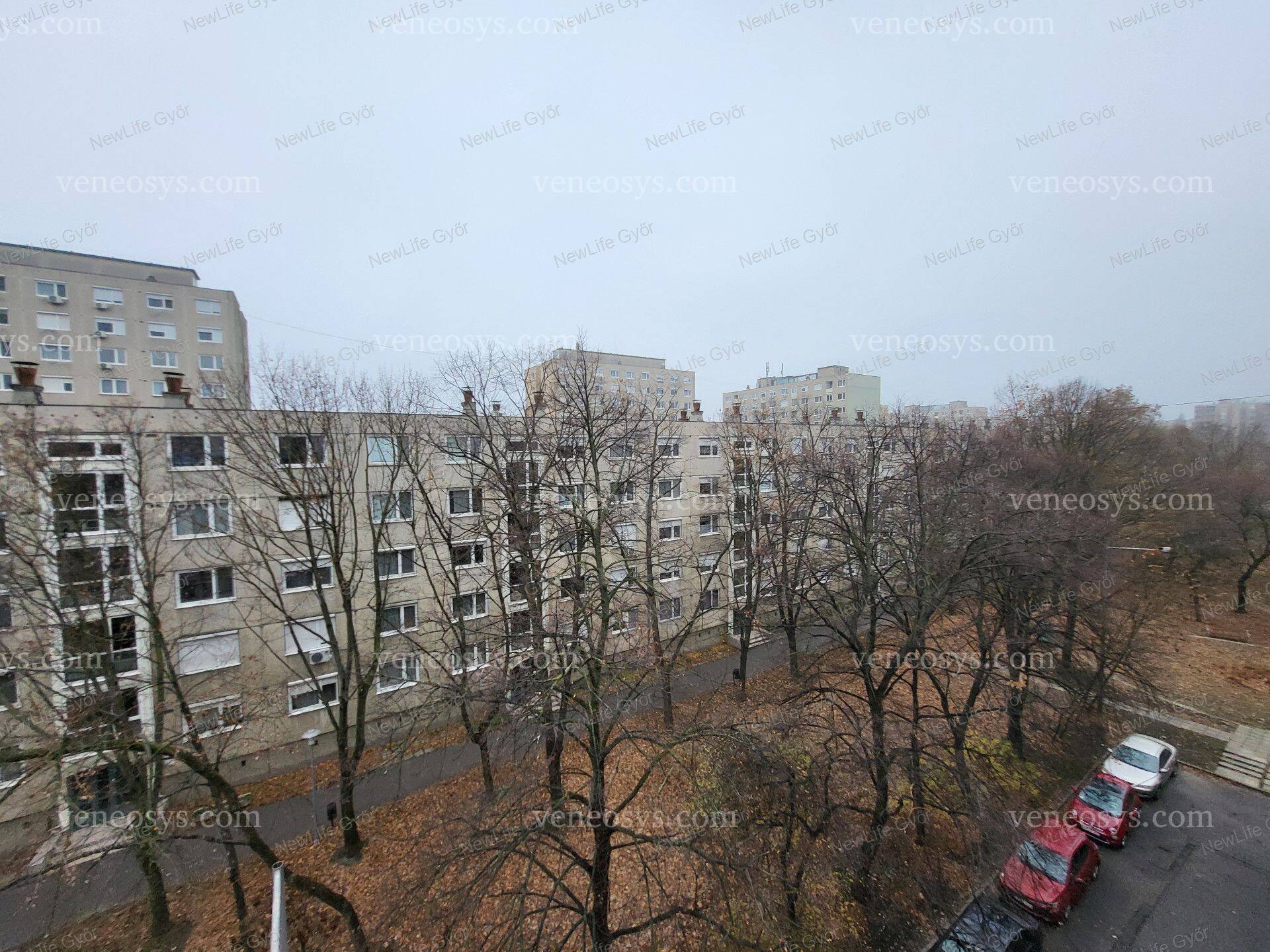 Kép 7