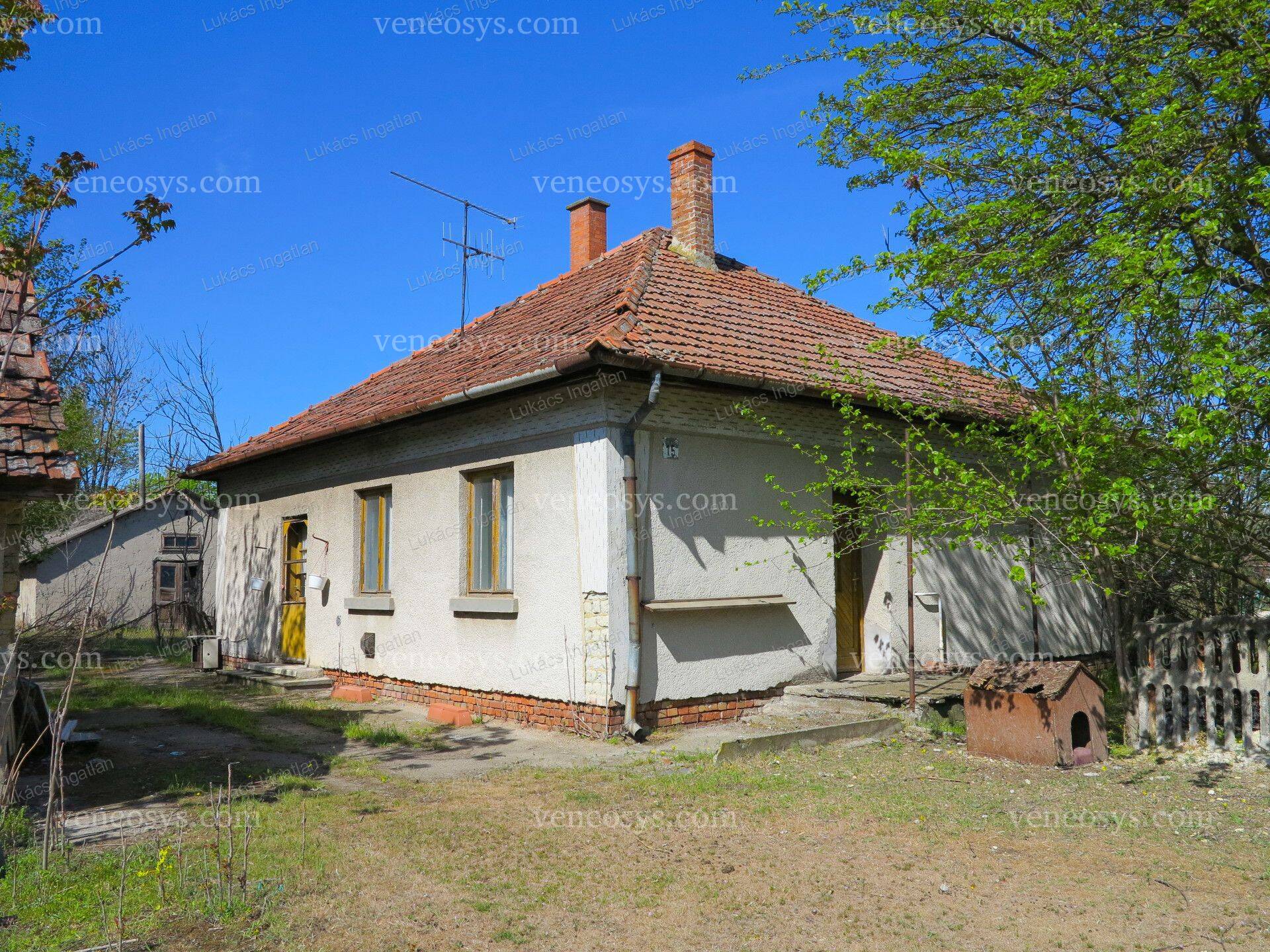 Kép 10