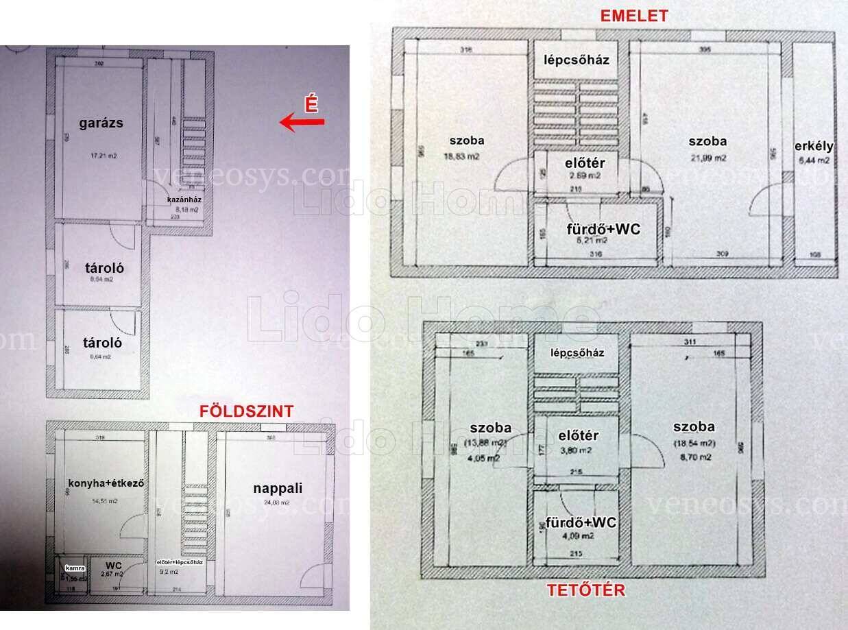 Kép 7