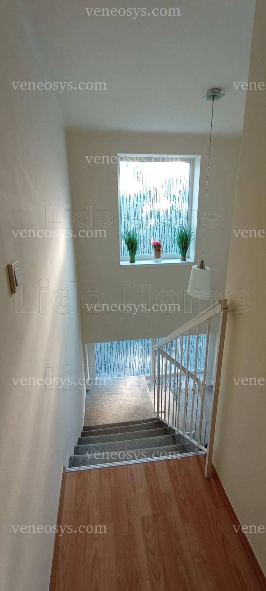 Kép 13
