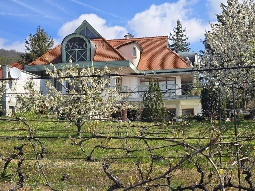 Kép 5