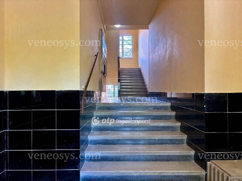 Kép 5
