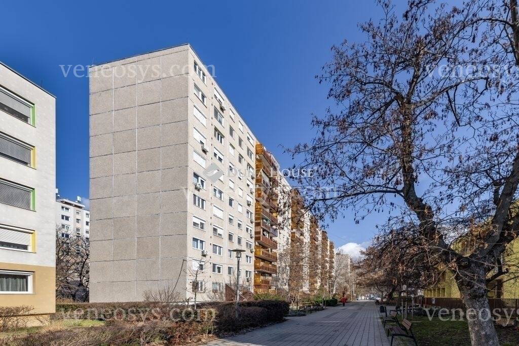 Kép 2