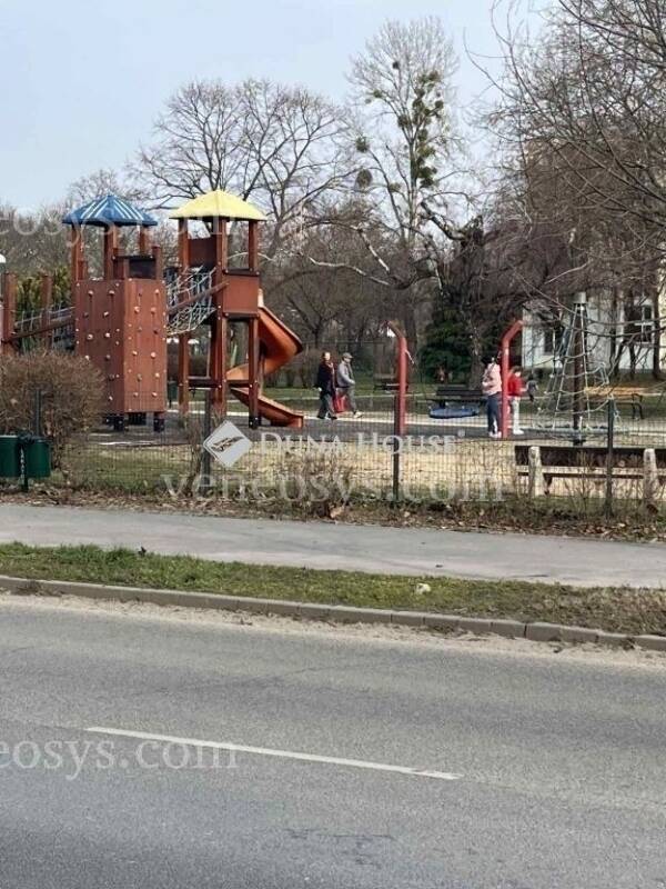 Kép 5