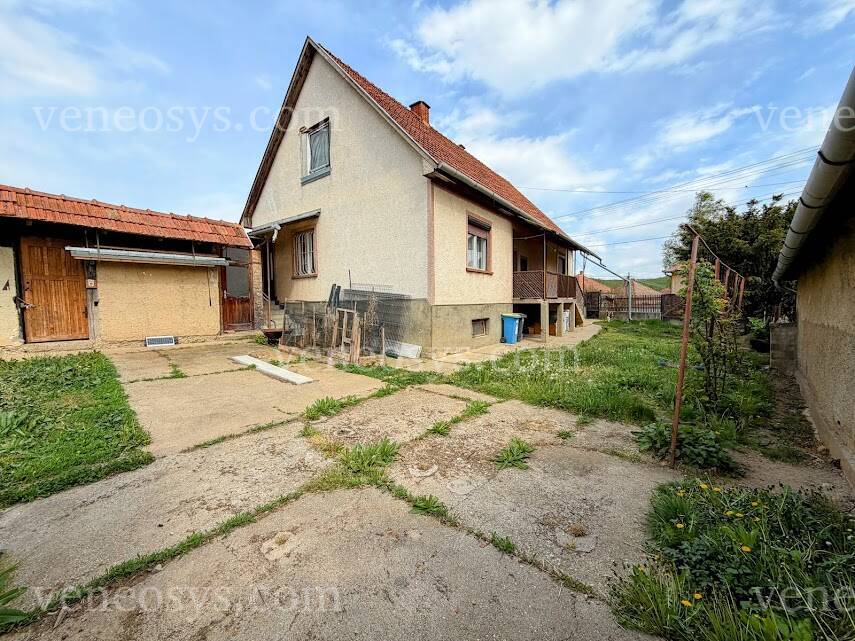 Kép 35