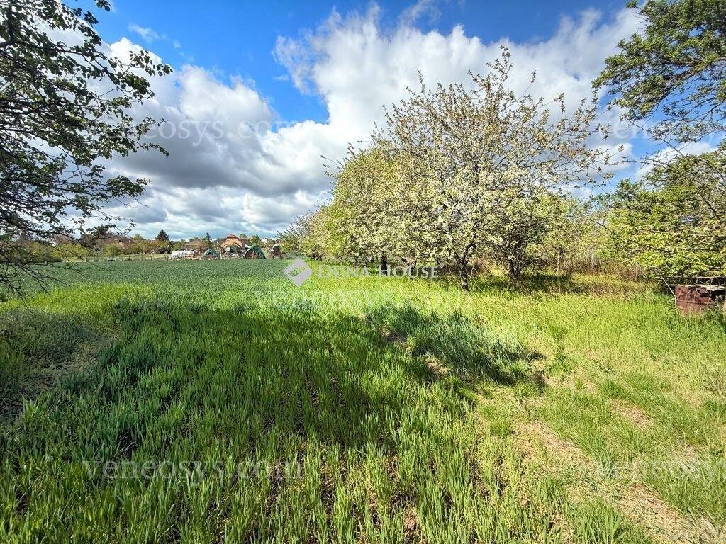 Kép 15