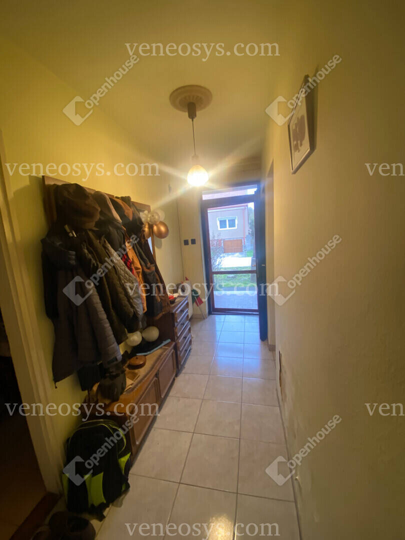 Kép 7