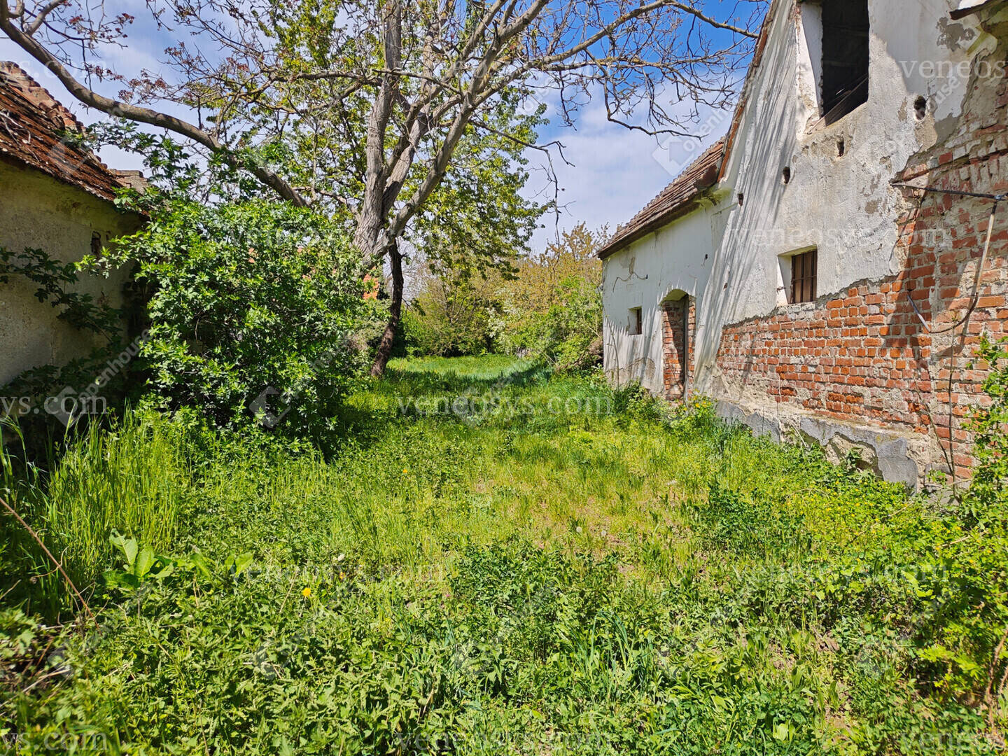Kép 5
