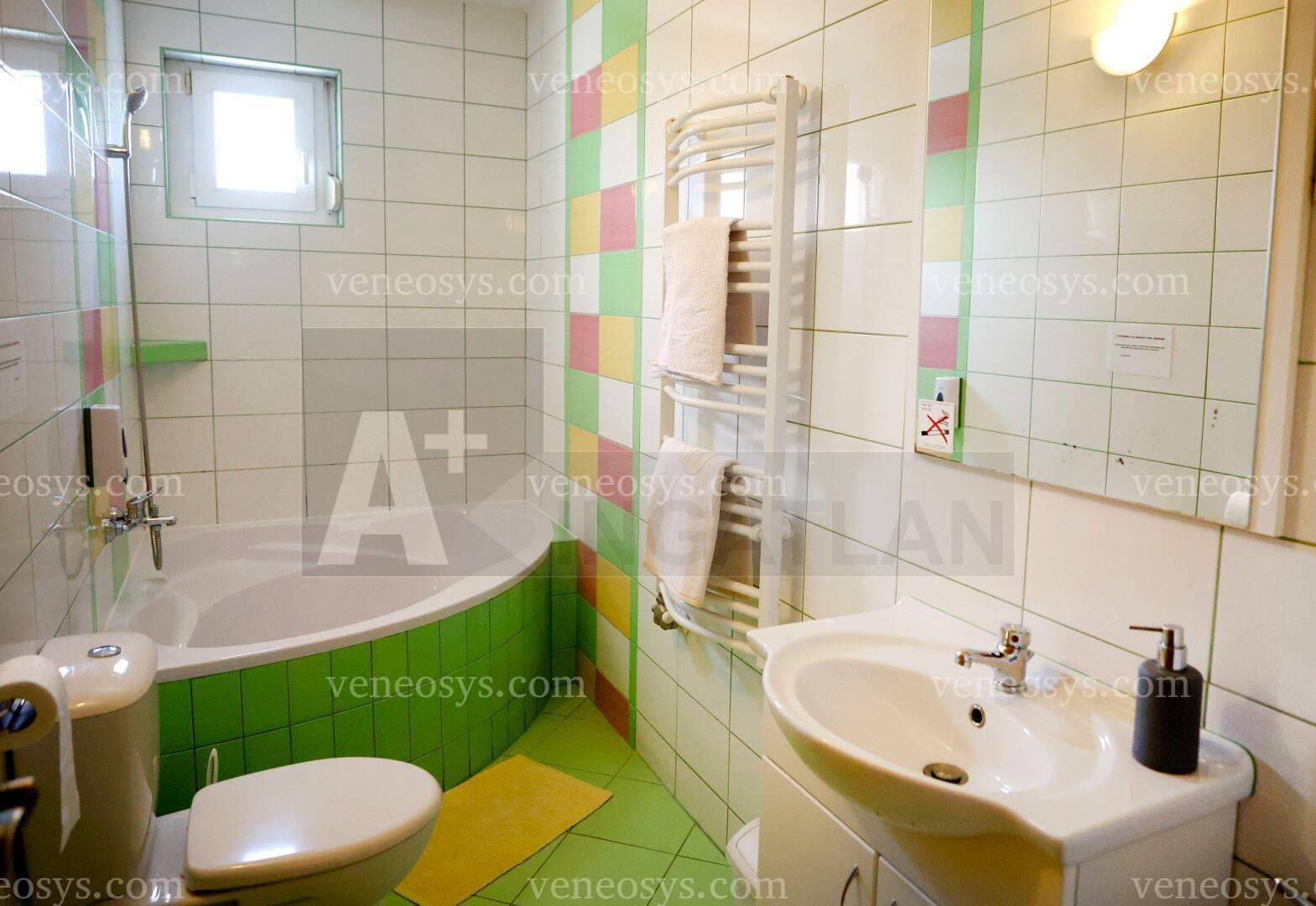 Kép 11