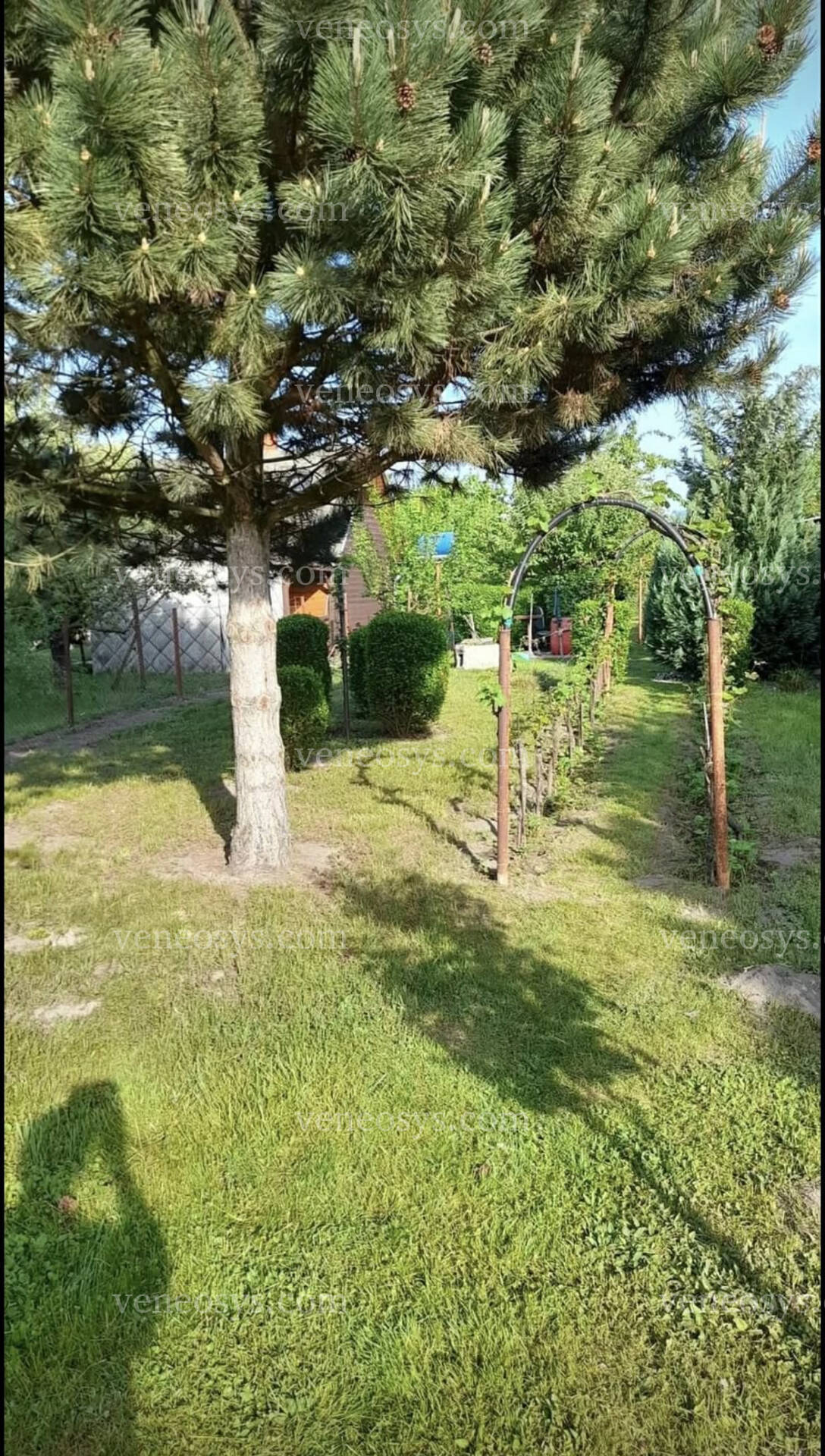 Kép 10