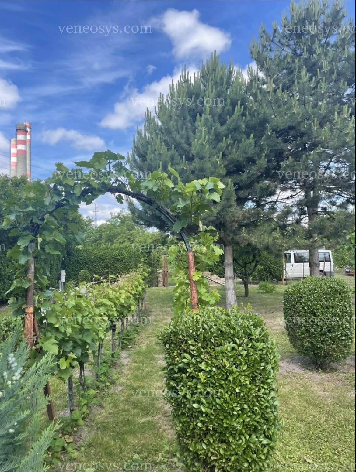 Győr