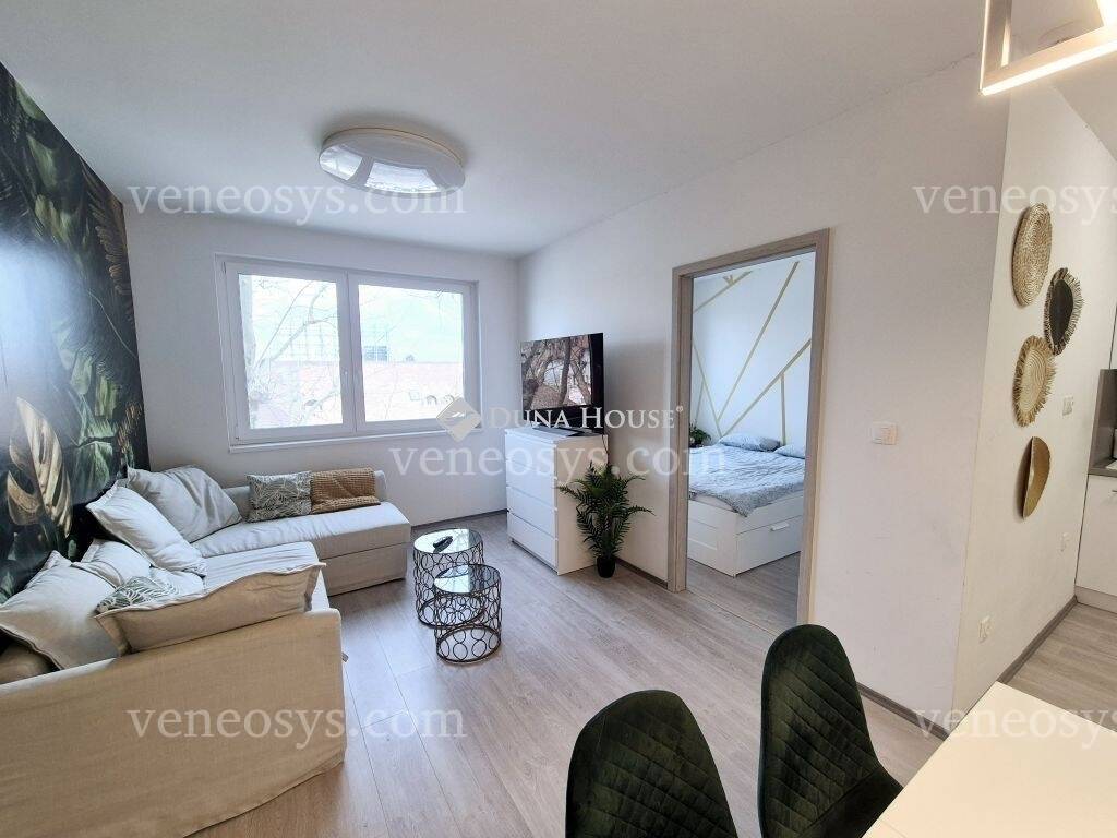 Kép 6