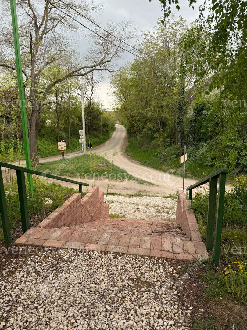Kép 12